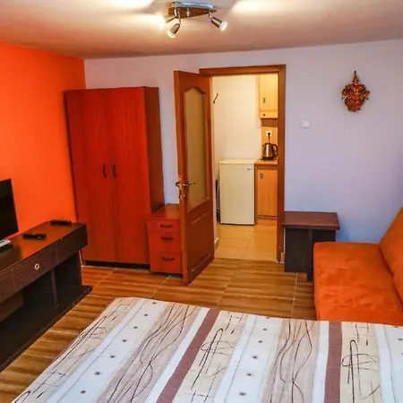 Center 2 Apartment